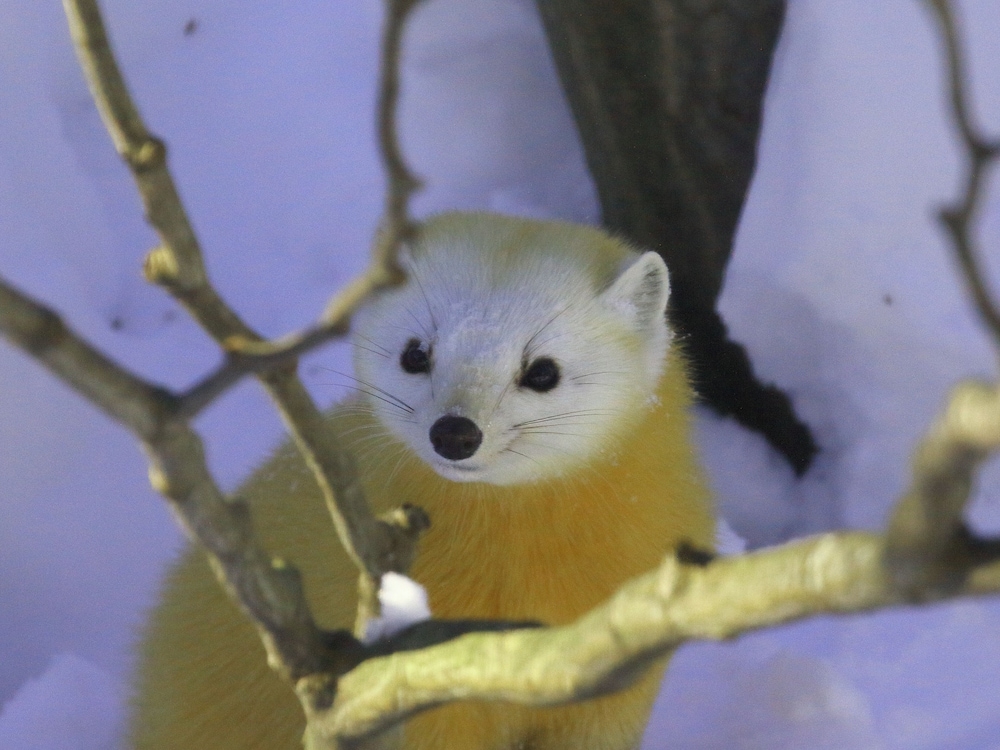 숙박 시설 구내