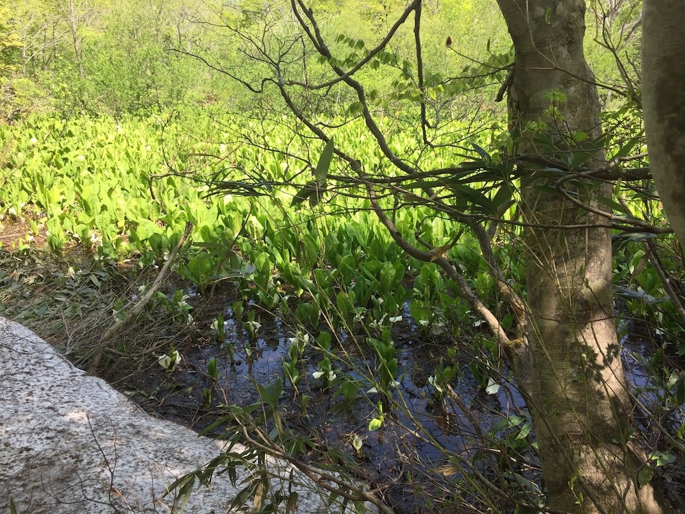 숙박 시설의 전망