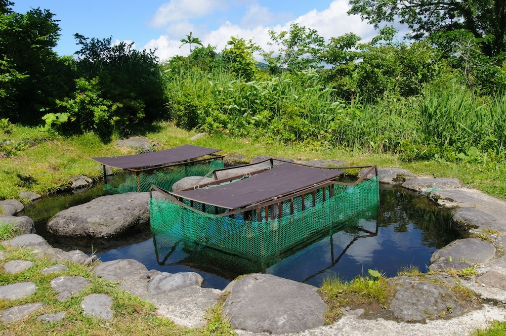 숙박 시설의 전망