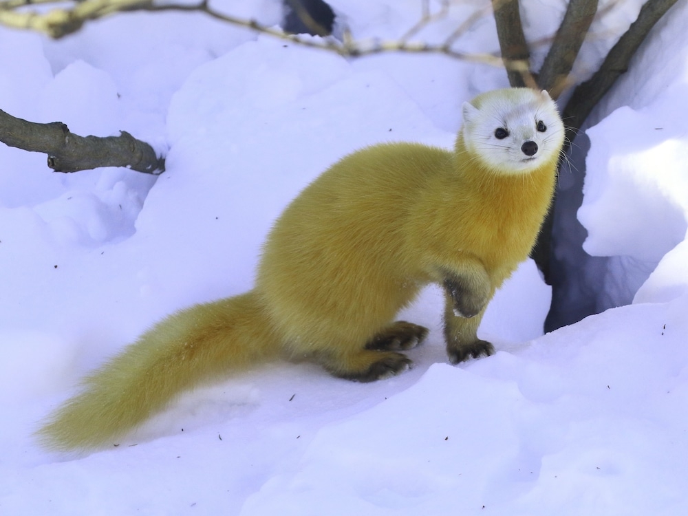 숙박 시설 구내