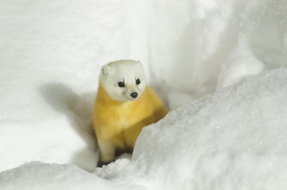 숙박 시설 구내