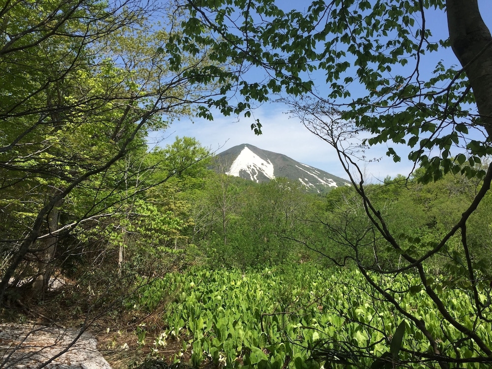 산 전망
