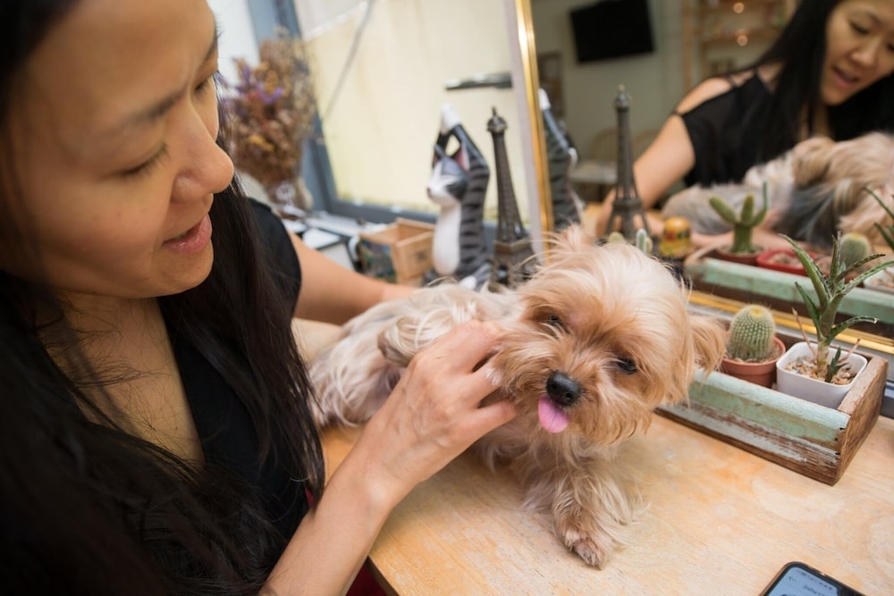 어린이 즐길거리