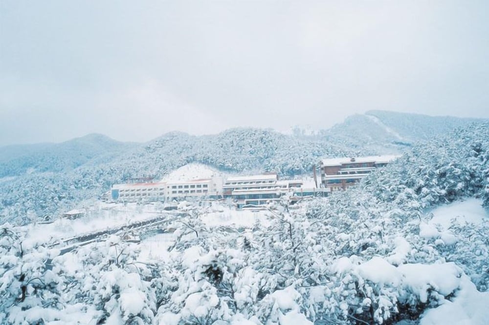 숙박 시설 정면