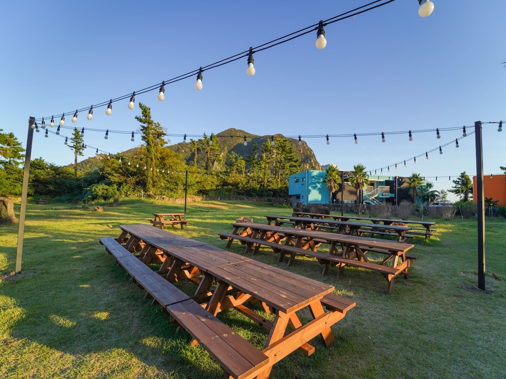 BBQ/피크닉 공간