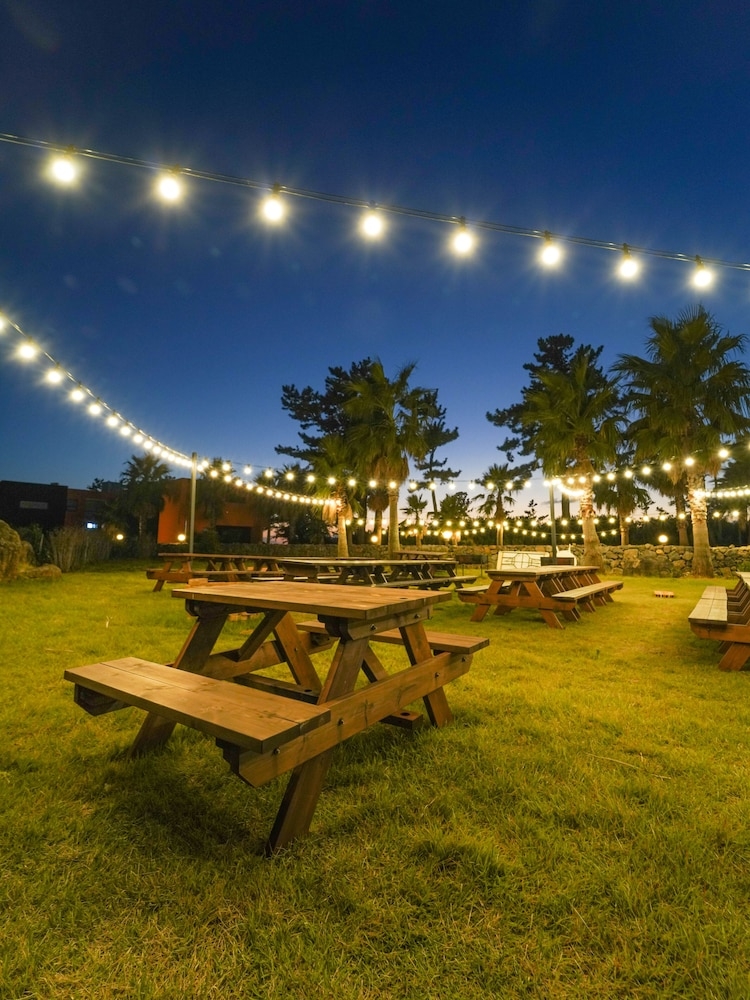 BBQ/피크닉 공간