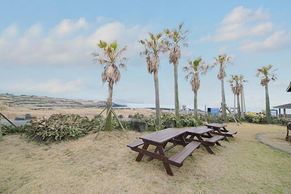 BBQ/피크닉 공간