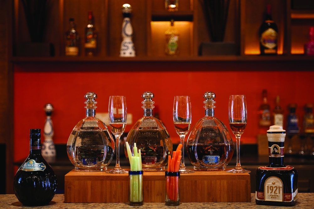 바(숙박 시설 내)