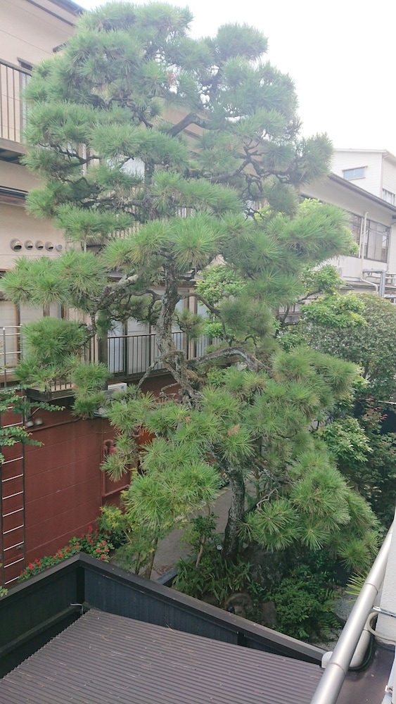 객실에서 보이는 전망