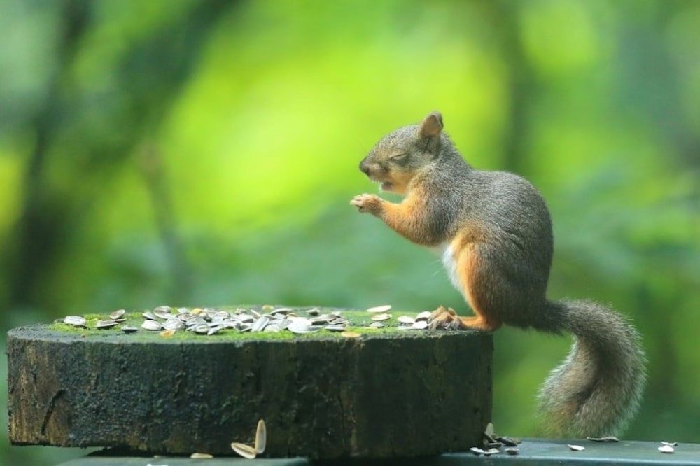 숙박 시설의 전망
