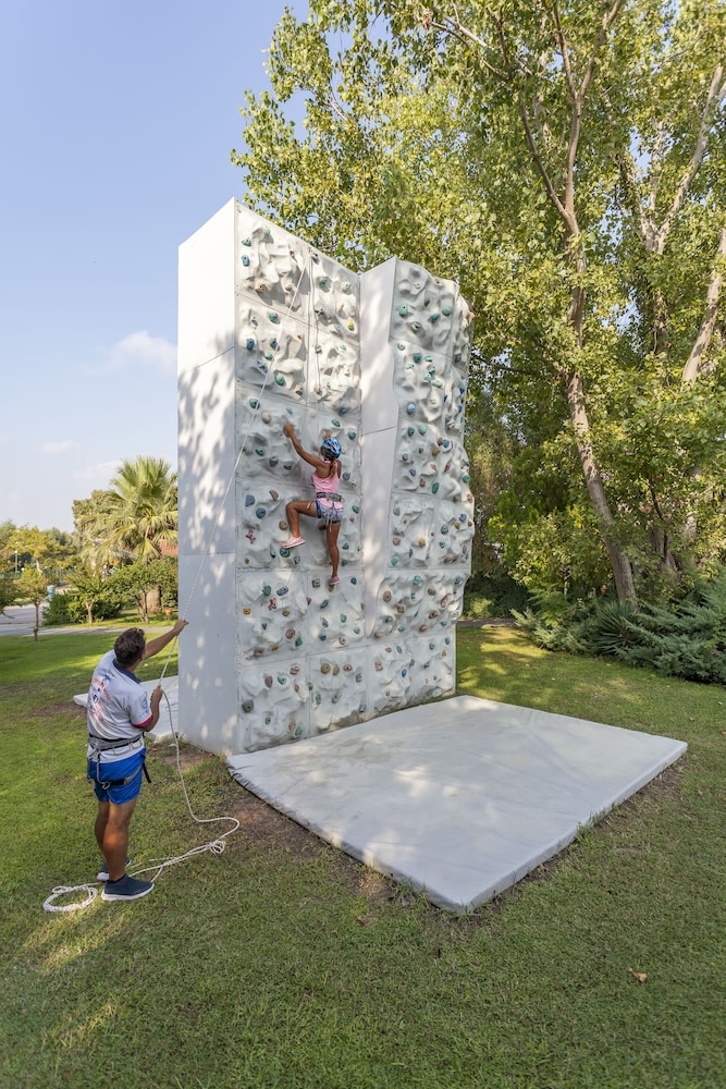 로프 코스(팀 빌딩)