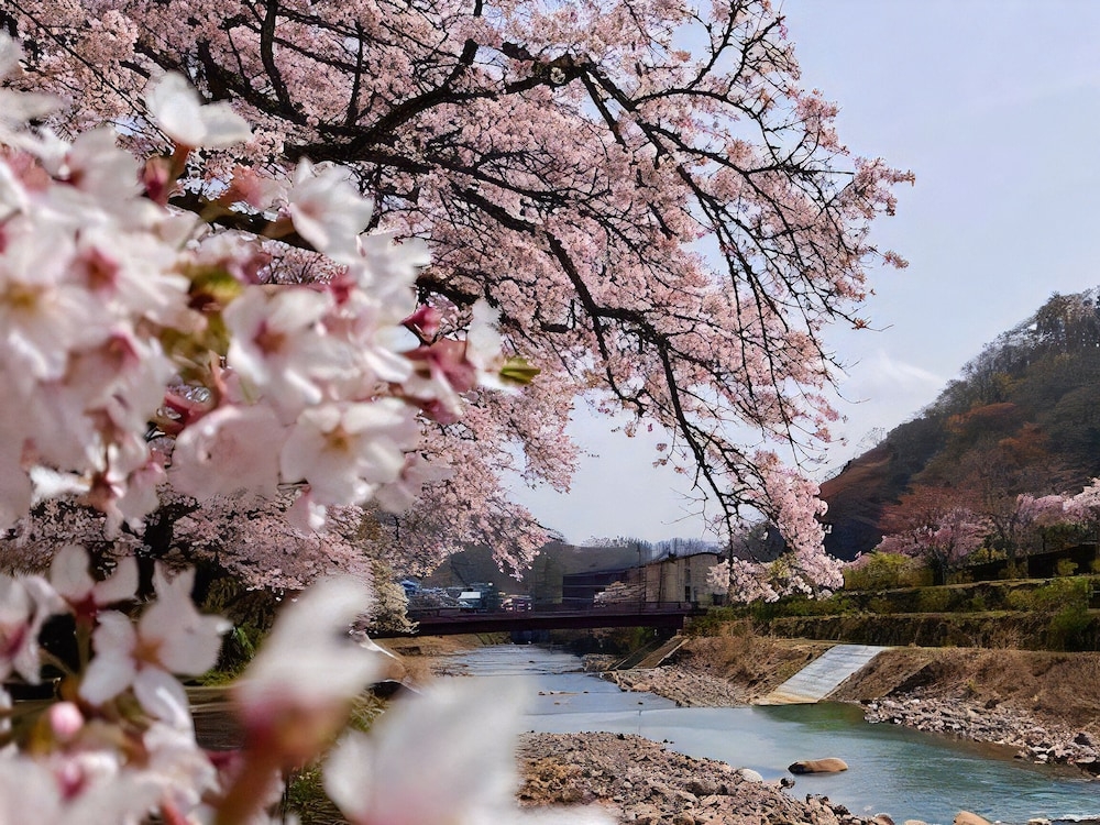 숙박 시설에서 보는 주변 전망