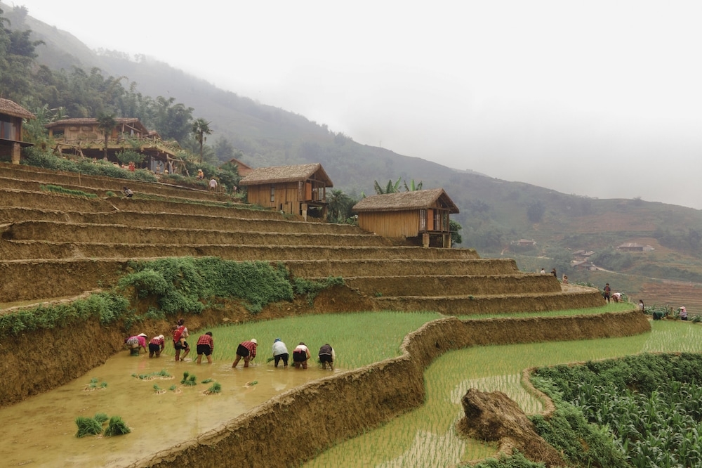 숙박 시설 정면