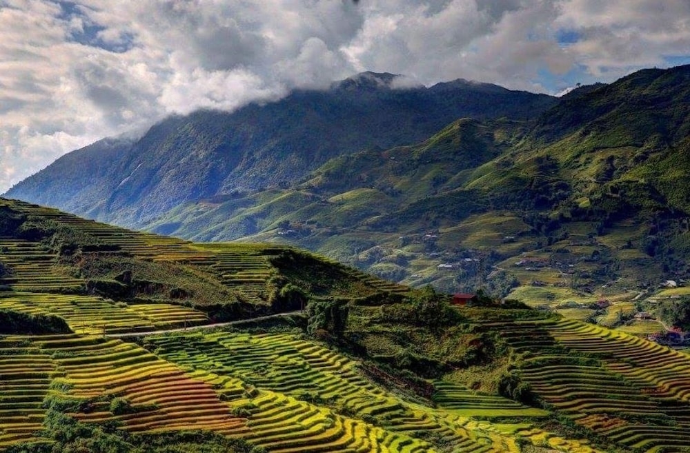 숙박 시설의 전망