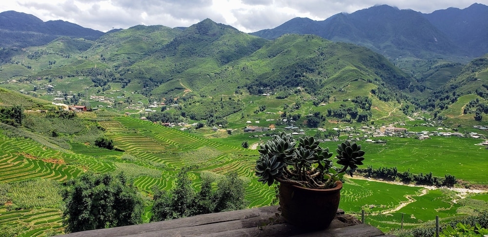 숙박 시설 구내