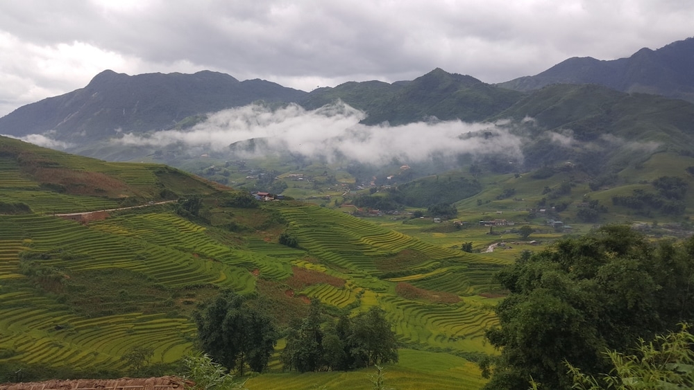 숙박 시설의 전망