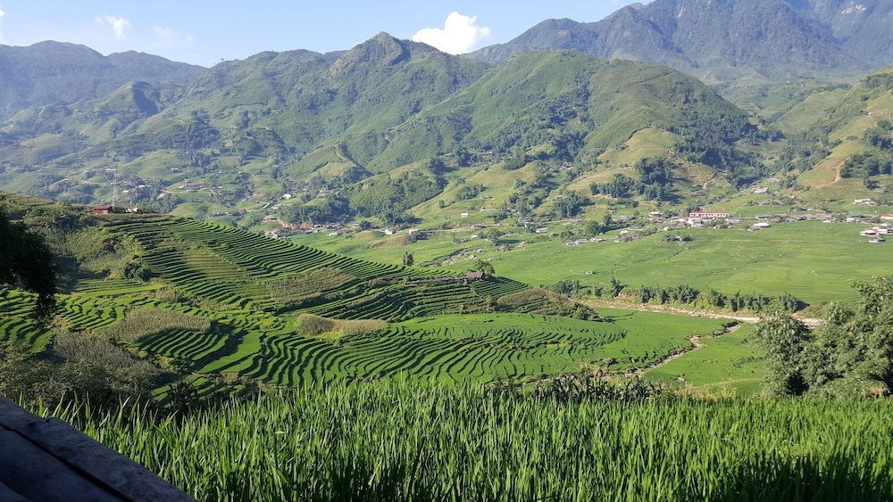 숙박 시설의 전망