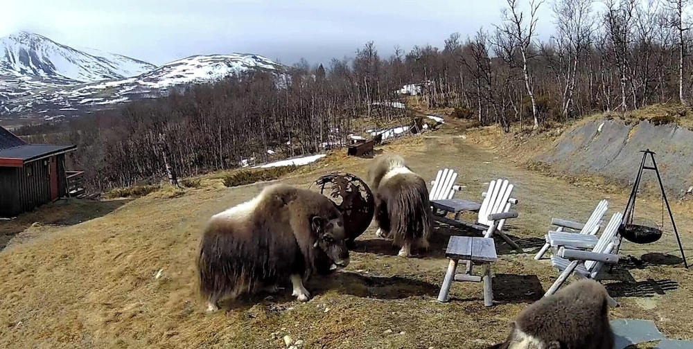 숙박 시설 구내