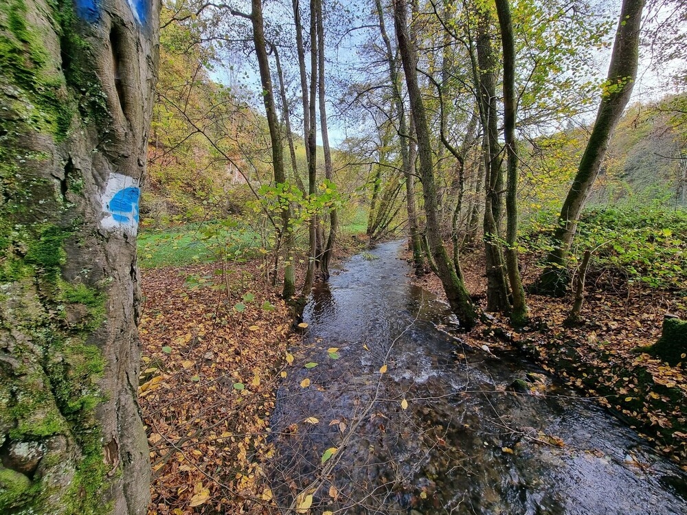 숙박 시설의 전망