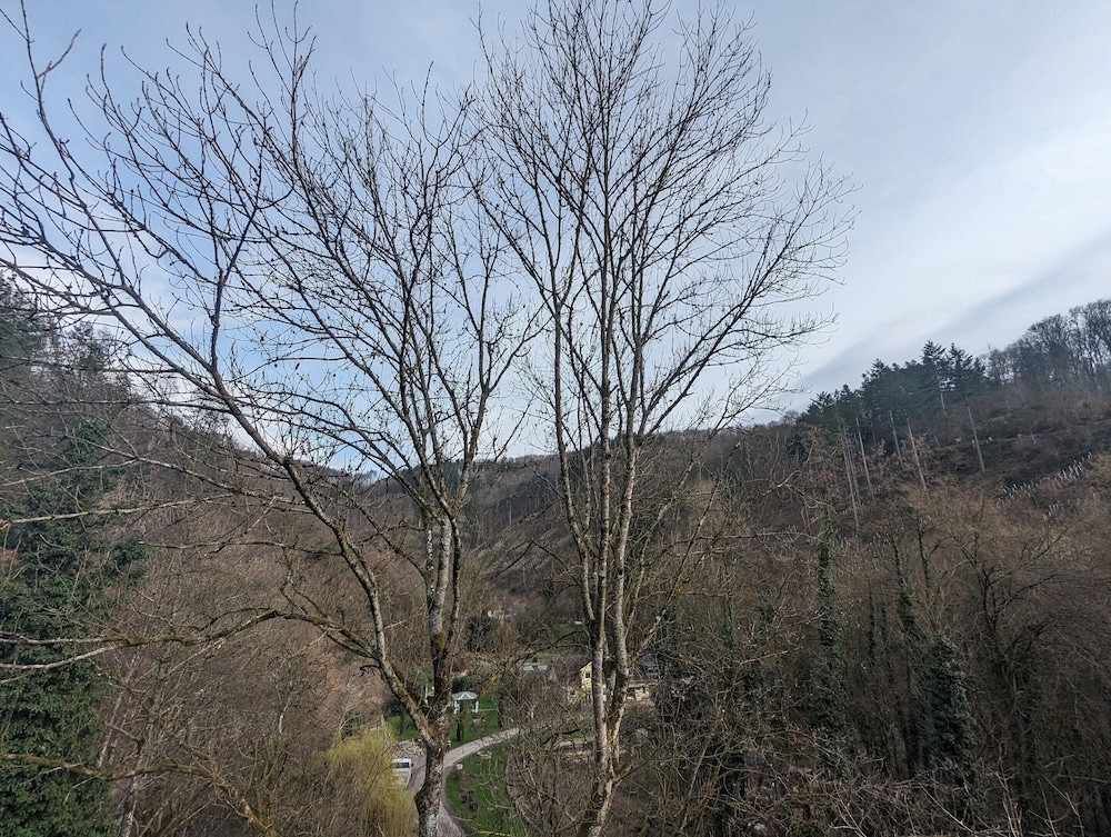 숙박 시설의 전망