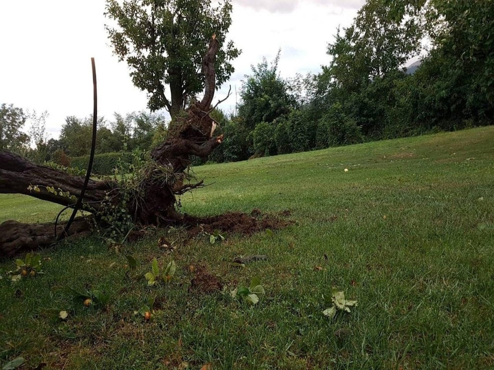 숙박 시설의 전망
