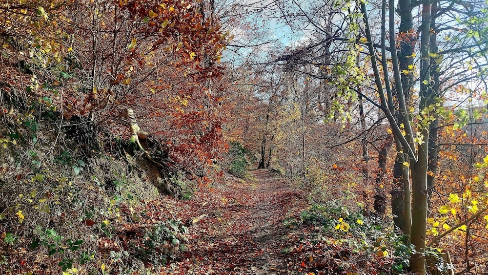 숙박 시설의 전망