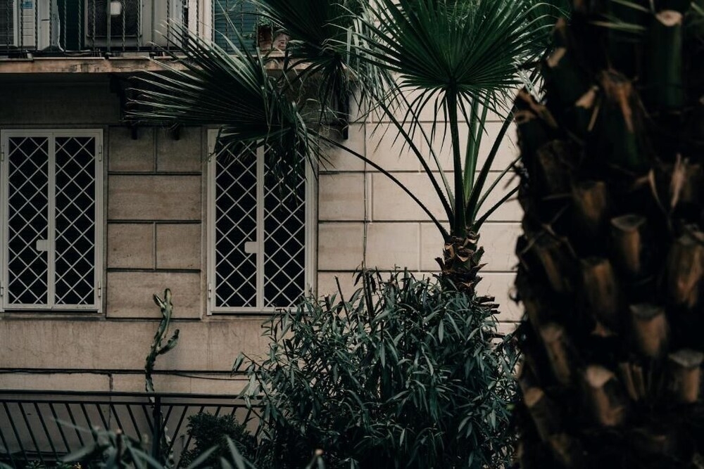 외부 세부 사진