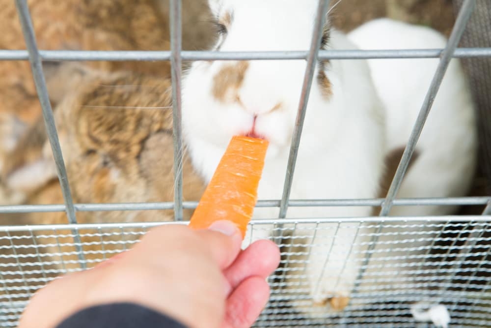 어린이 놀이 공간 - 야외