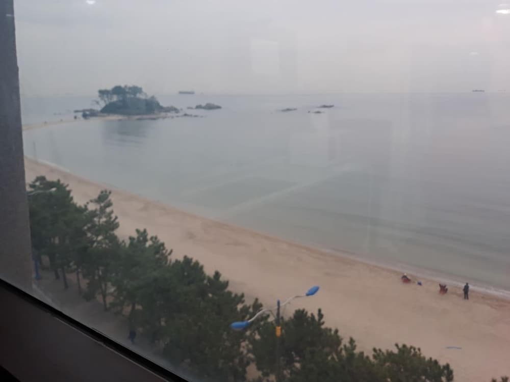 객실에서 보이는 전망