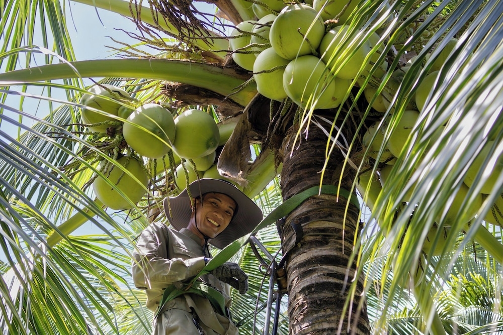 숙박 시설 내 편의 시설/서비스