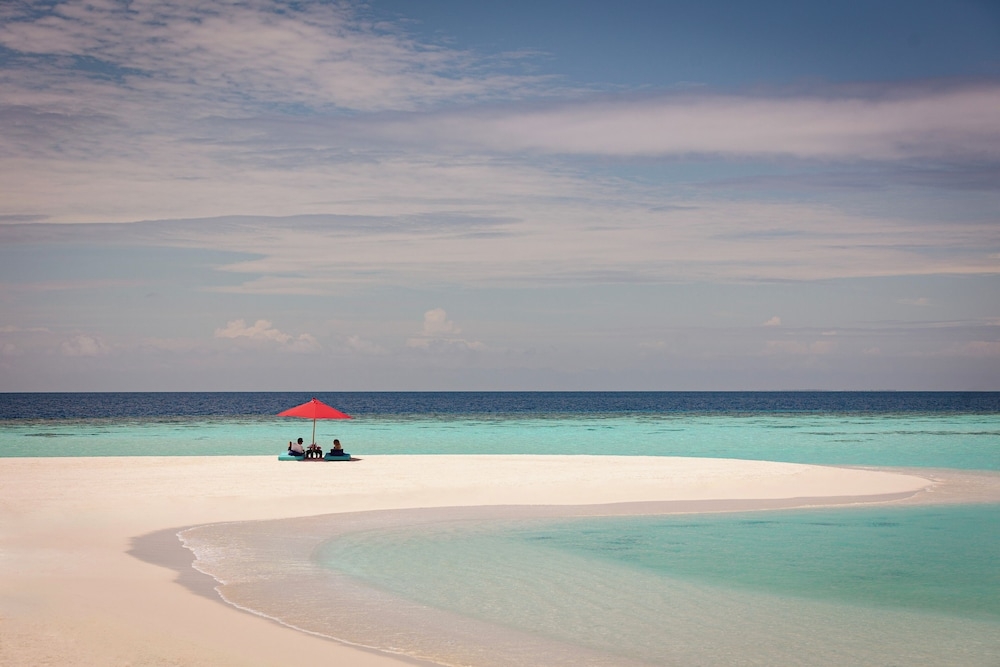 BBQ/피크닉 공간