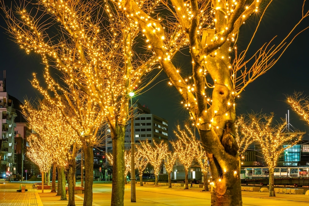 숙박 시설에서 보는 시내 전망