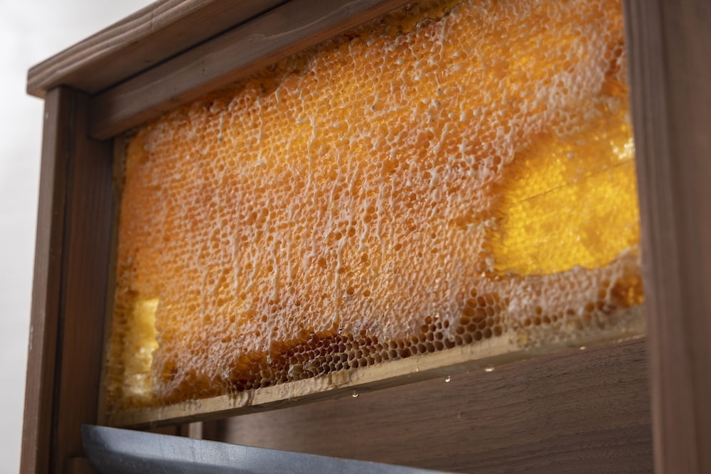 뷔페 아침 식사