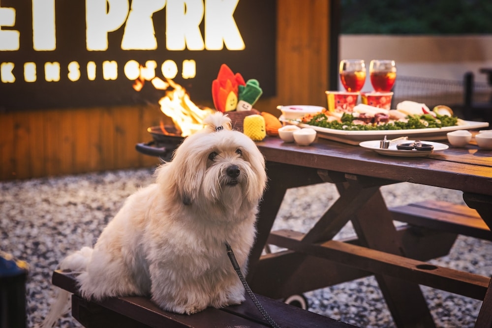 BBQ/피크닉 공간
