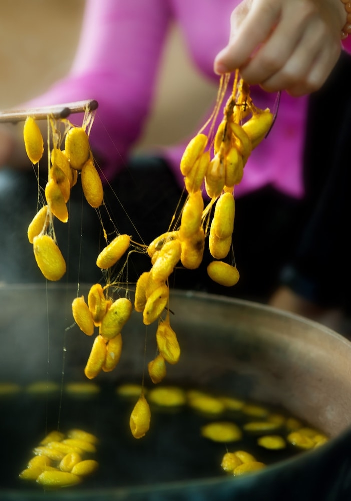 숙박 시설 내 편의 시설/서비스