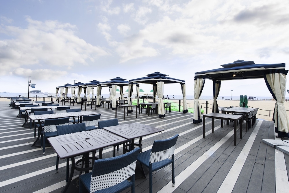 BBQ/피크닉 공간