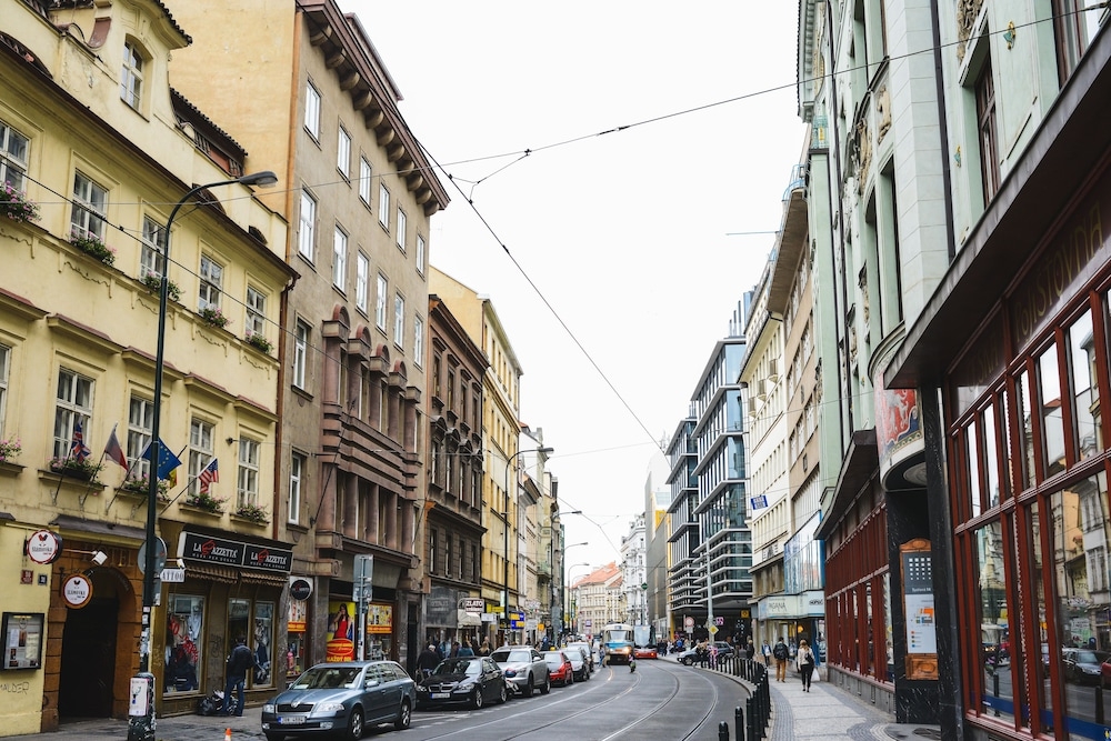 BBQ/피크닉 공간