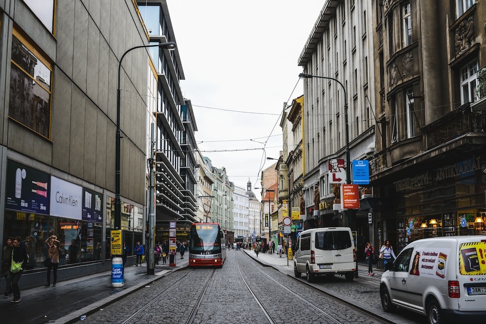 BBQ/피크닉 공간