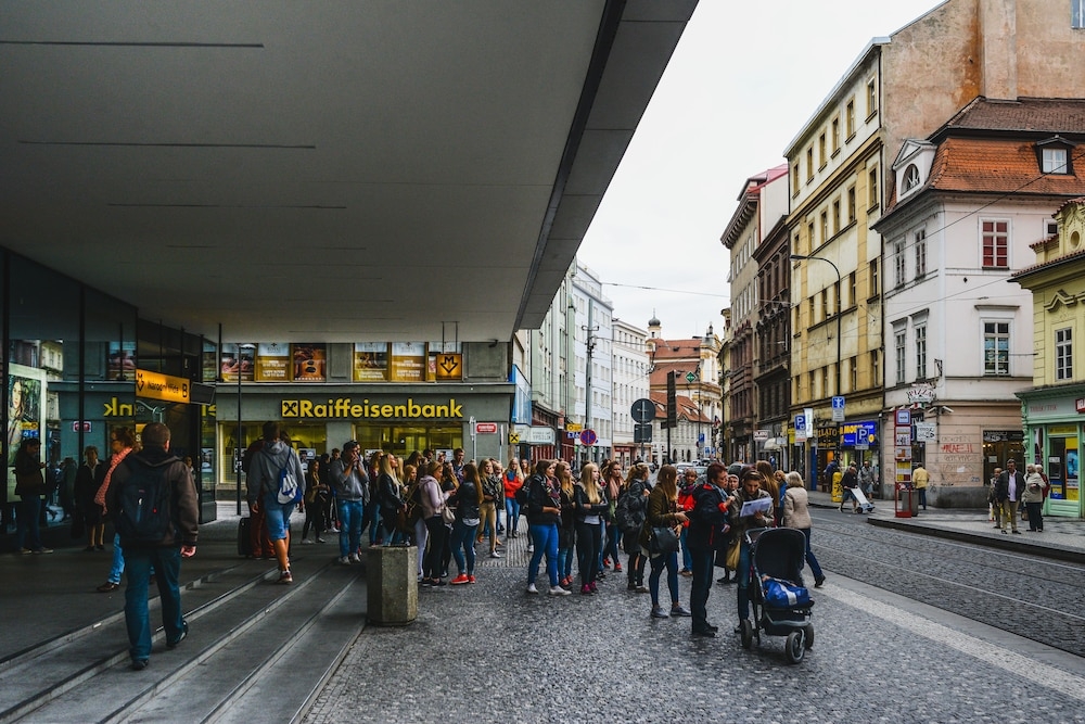 BBQ/피크닉 공간