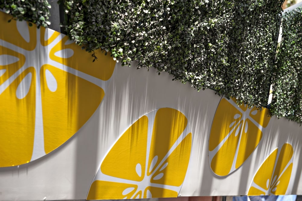 외부 세부 사진