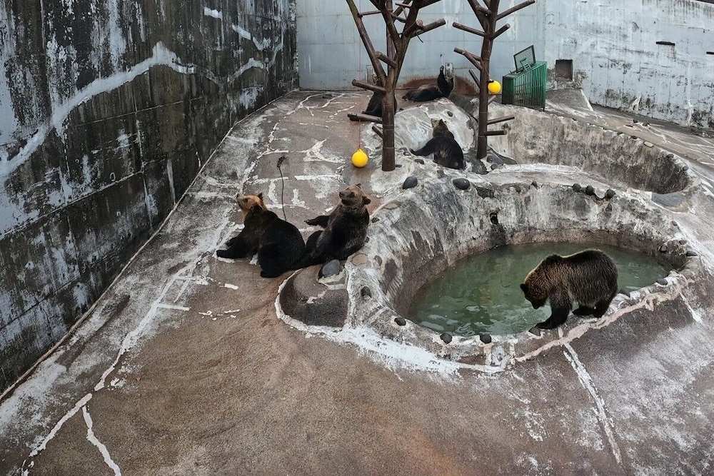 숙박 시설에서 보는 주변 전망