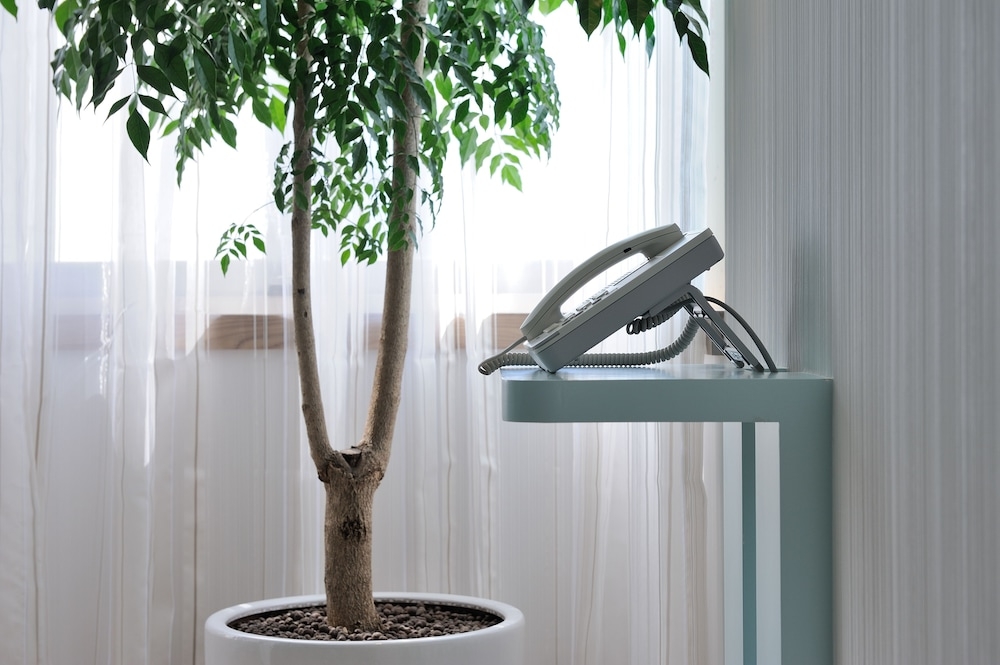 숙박 시설 내 편의 시설/서비스