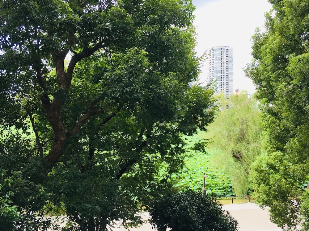 객실에서 보이는 전망