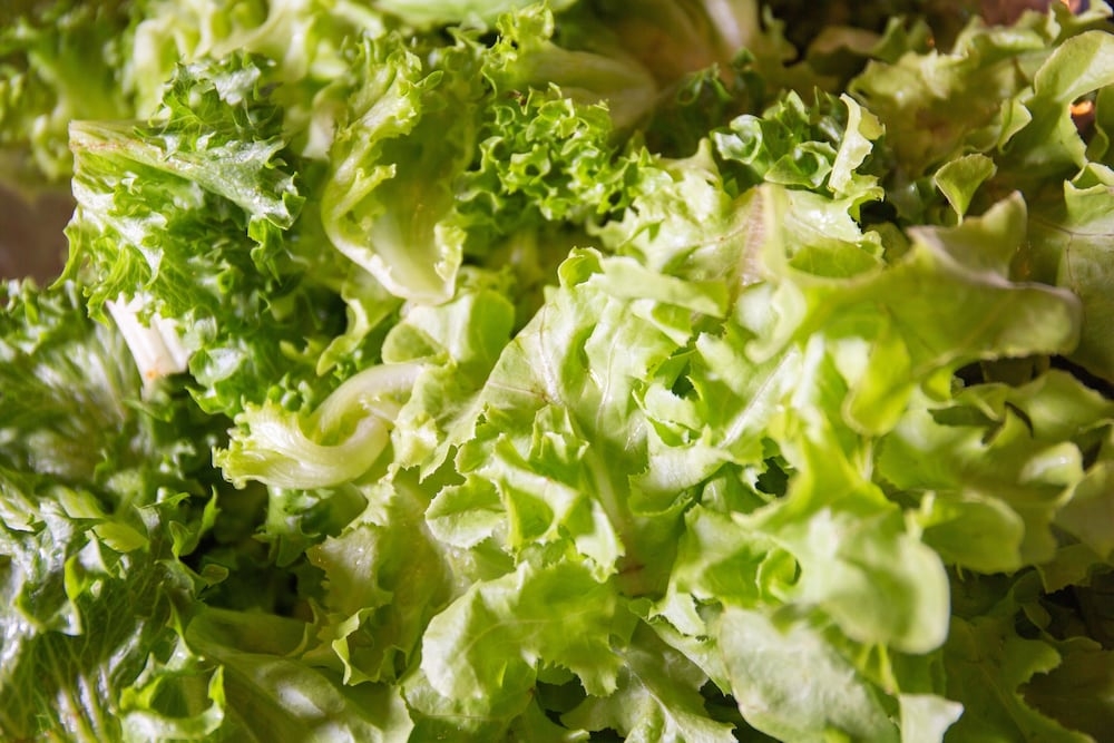 뷔페 아침 식사