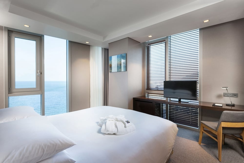 객실에서 보이는 전망