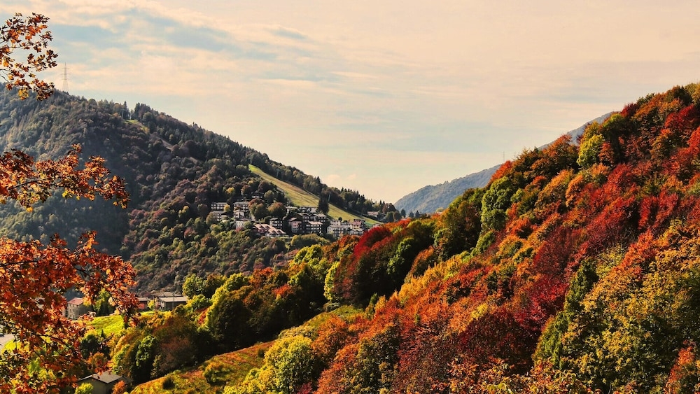 숙박 시설에서 보는 시내 전망