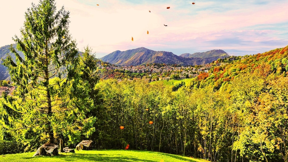 숙박 시설에서 보는 시내 전망