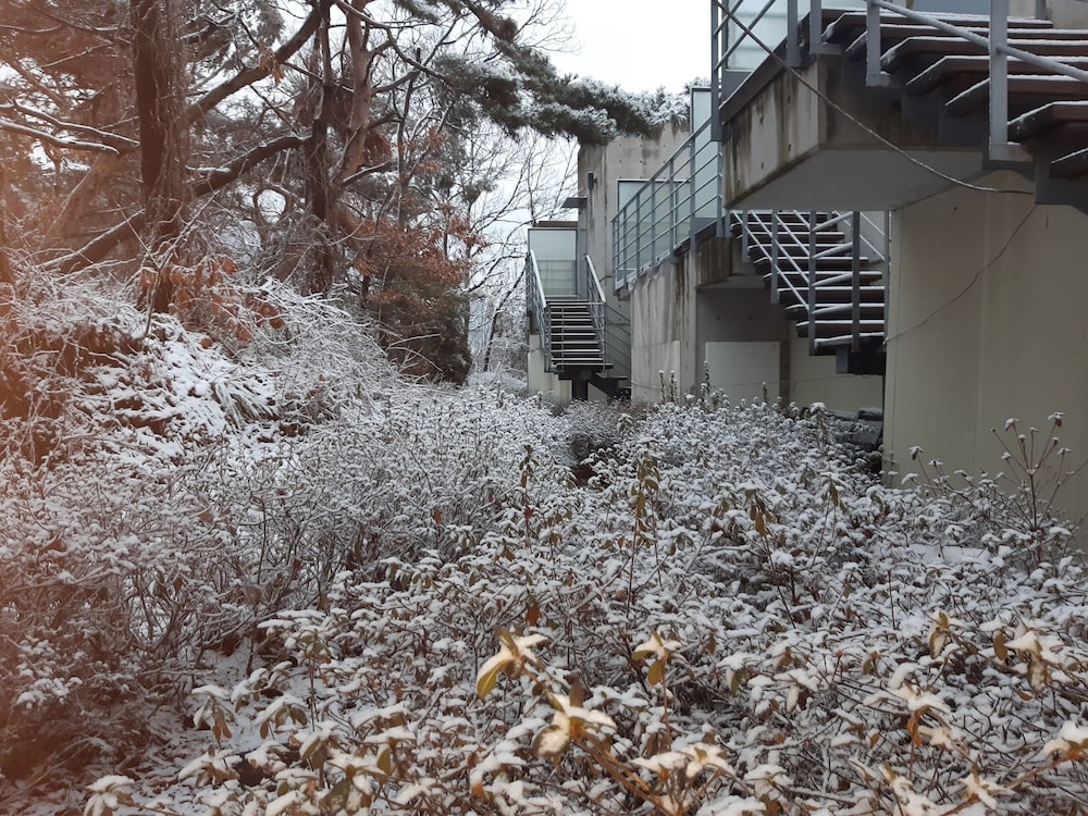외부 세부 사진