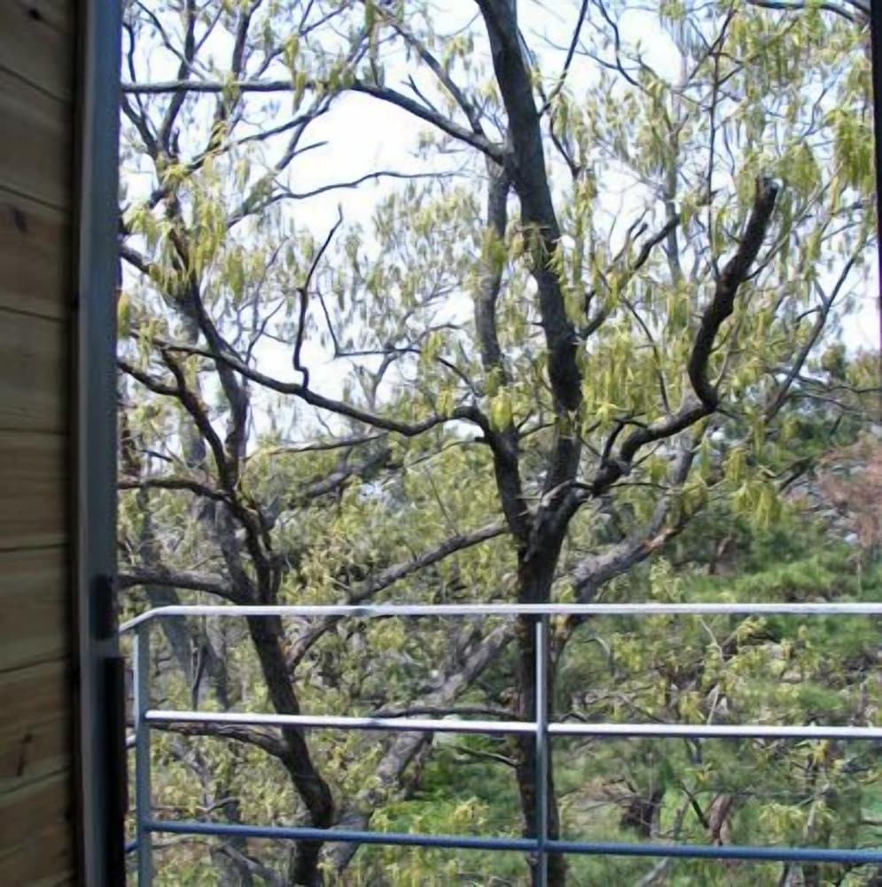 객실에서 보이는 전망