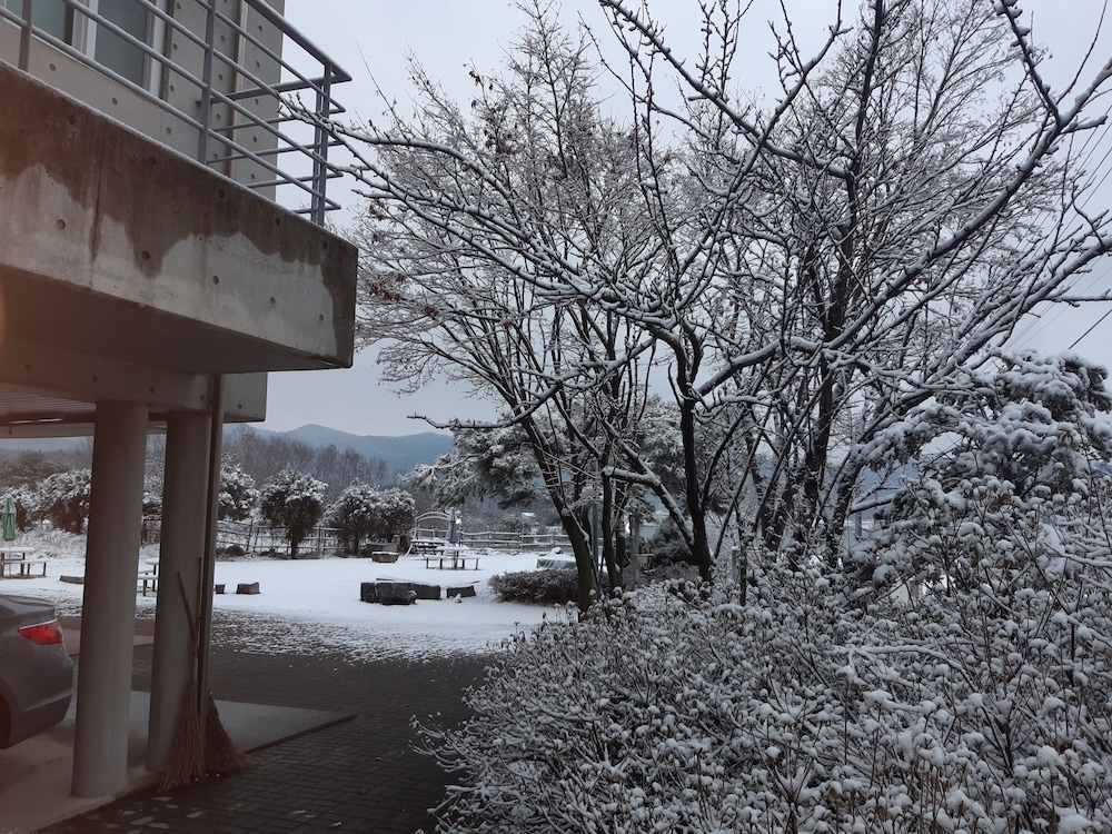 외부 세부 사진